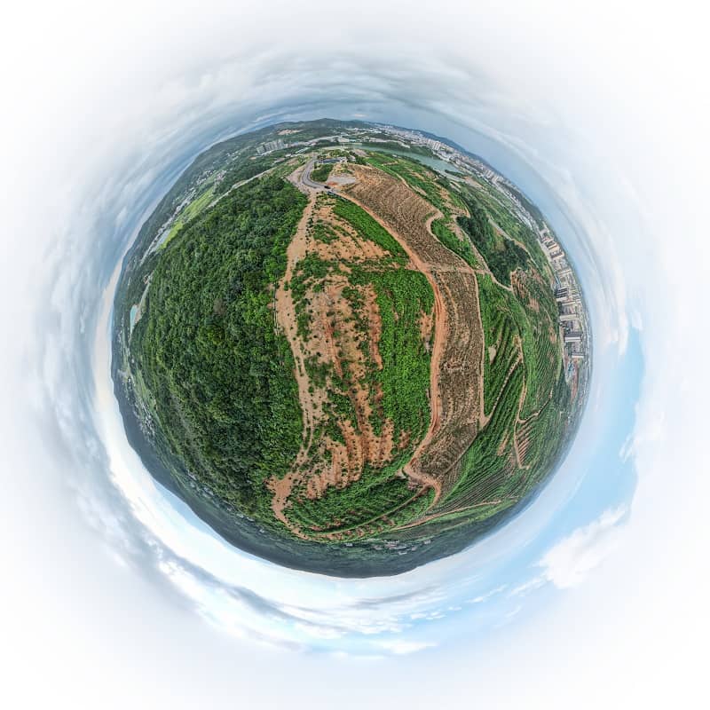 茶油基地(dì)鳥橄圖-tuya 茶油基地(dì)鳥橄圖-tuya