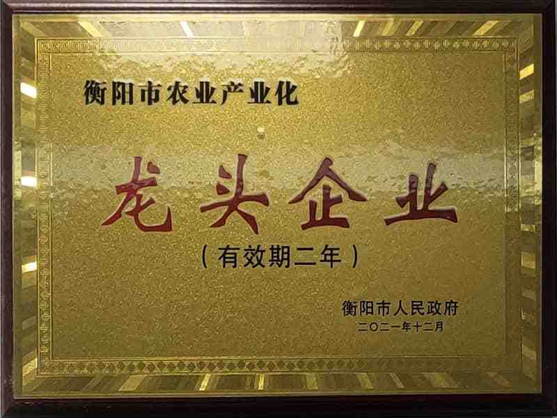 龍頭企業(yè)-tuya